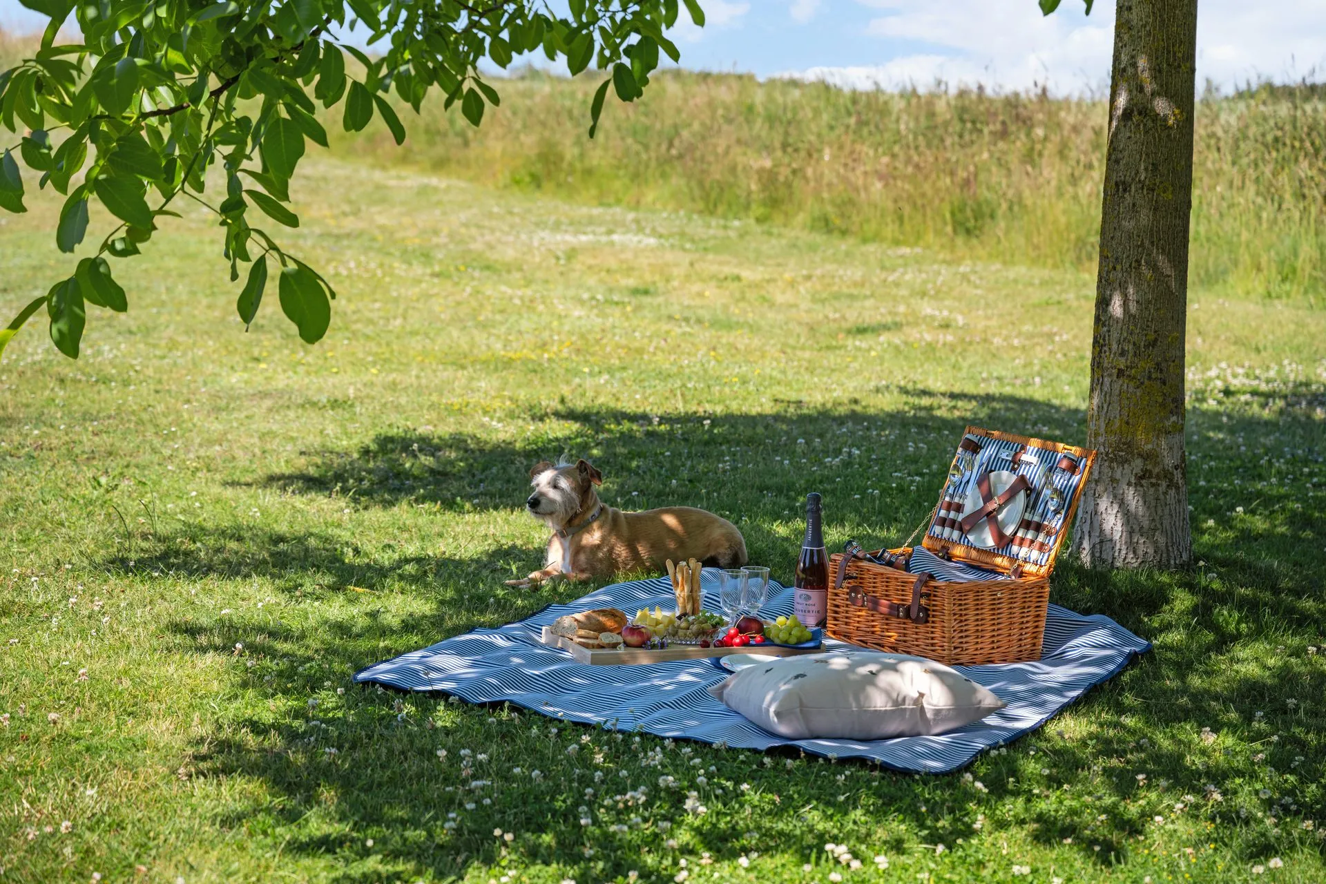 Picknickdecke mit Korb und Hund unter einem Baum auf der Wiese